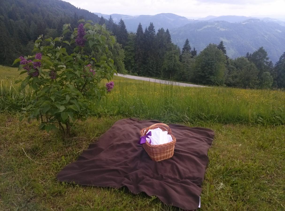 Apartamento Domacija Za Robom Cerkno Exterior foto