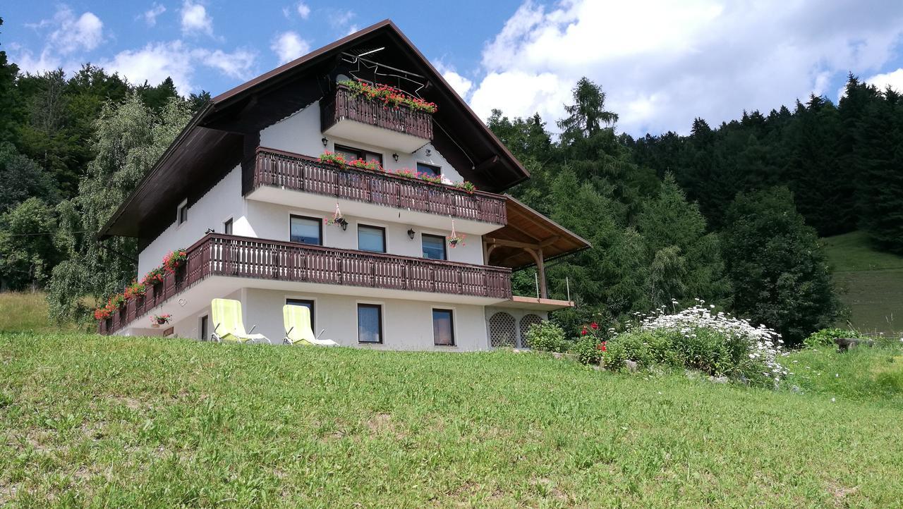 Apartamento Domacija Za Robom Cerkno Exterior foto