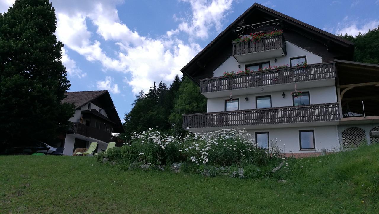 Apartamento Domacija Za Robom Cerkno Exterior foto